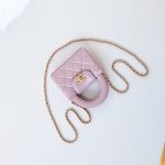 Chanel CLUTCH Shiny Aged Calfskin LB14984 (4)