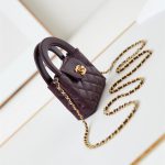 Chanel CLUTCH Shiny Aged Calfskin LB14987 (6)