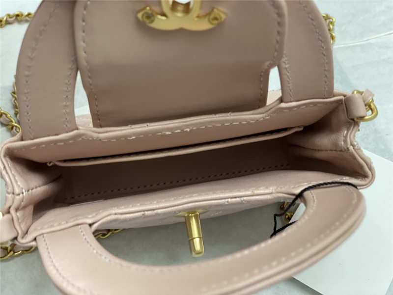 Chanel CLUTCH Shiny Aged Calfskin LB6681 (4)