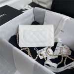 Chanel Classic WOC Grained Calfskin LB13057 (2)