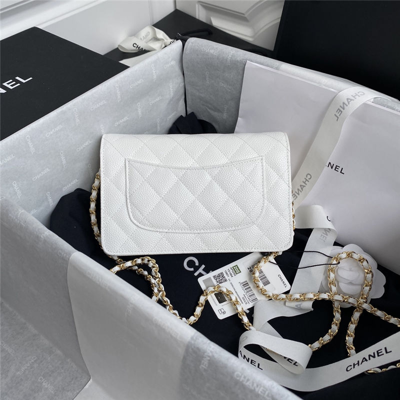 Chanel Classic WOC Grained Calfskin LB13057 (2)
