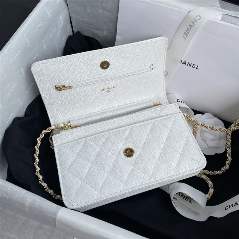 Chanel Classic WOC Grained Calfskin LB13057 (3)
