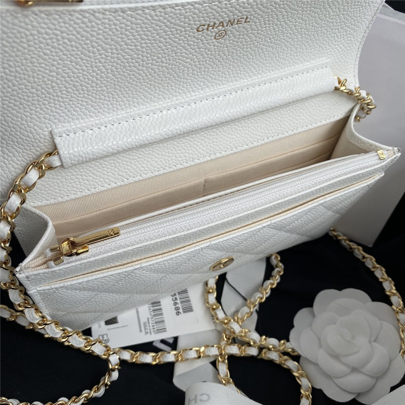 Chanel Classic WOC Grained Calfskin LB13057 (5)