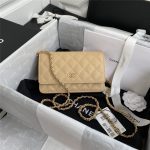 Chanel Classic WOC Grained Calfskin LB13212 (1)