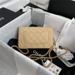 Chanel Classic WOC Grained Calfskin LB13212 (2)