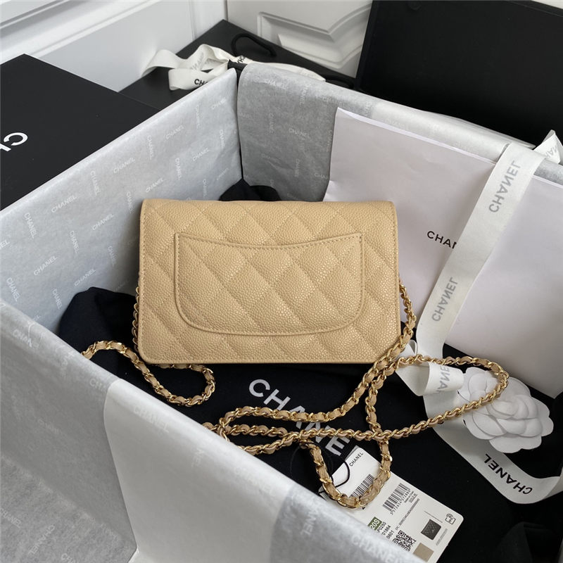 Chanel Classic WOC Grained Calfskin LB13212 (2)