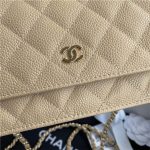 Chanel Classic WOC Grained Calfskin LB13212 (3)