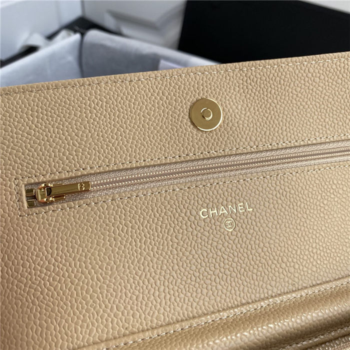 Chanel Classic WOC Grained Calfskin LB13212 (6)