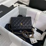 Chanel Classic WOC Grained Calfskin LB3651 (1)