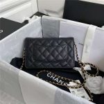 Chanel Classic WOC Grained Calfskin LB3651 (2)