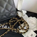 Chanel Classic WOC Grained Calfskin LB3651 (3)