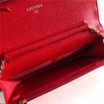 Chanel Classic WOC Grained Calfskin LB6716 (2)