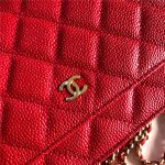 Chanel Classic WOC Grained Calfskin LB6716 (4)