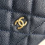 Chanel Classic WOC Grained Calfskin LB6722 (4)
