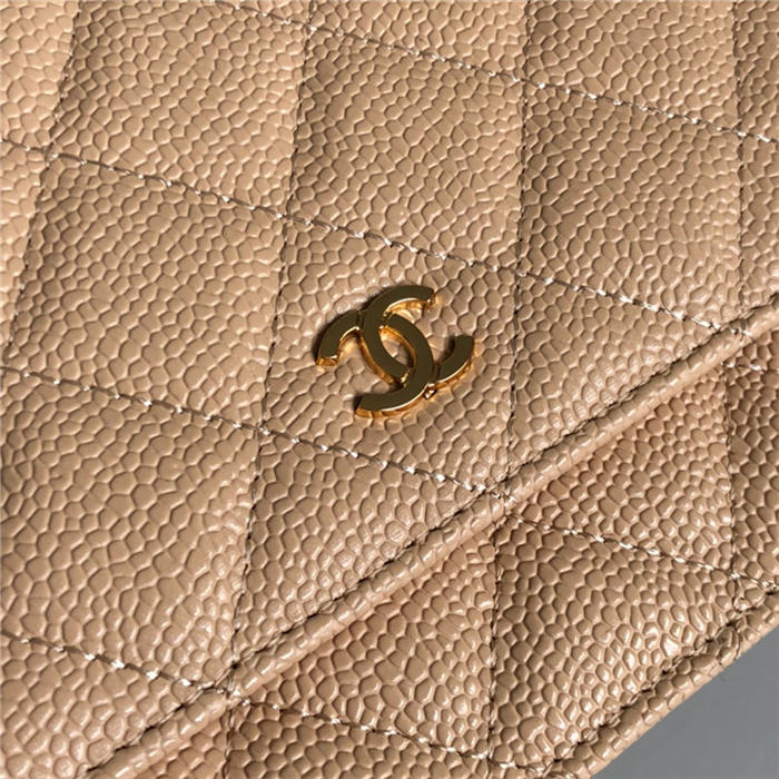 Chanel Classic WOC Grained Calfskin LB6724 (2)