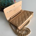 Chanel Classic WOC Grained Calfskin LB6724 (3)