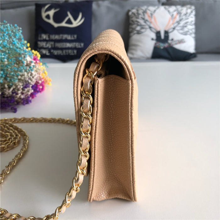 Chanel Classic WOC Grained Calfskin LB6724 (5)