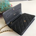 Chanel Classic WOC Grained Calfskin LB6726 (3)
