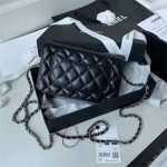Chanel Classic WOC Lambskin LB12569 (2)