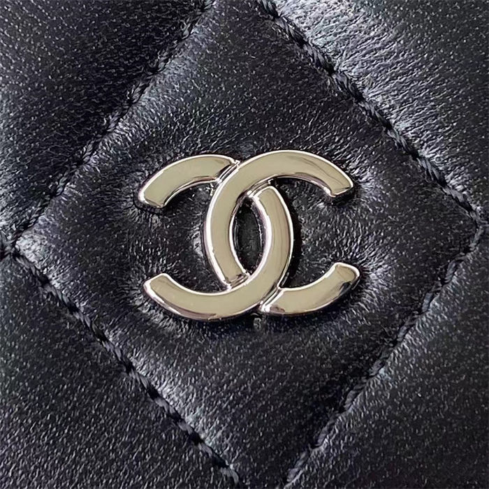 Chanel Classic WOC Lambskin LB12569 (3)
