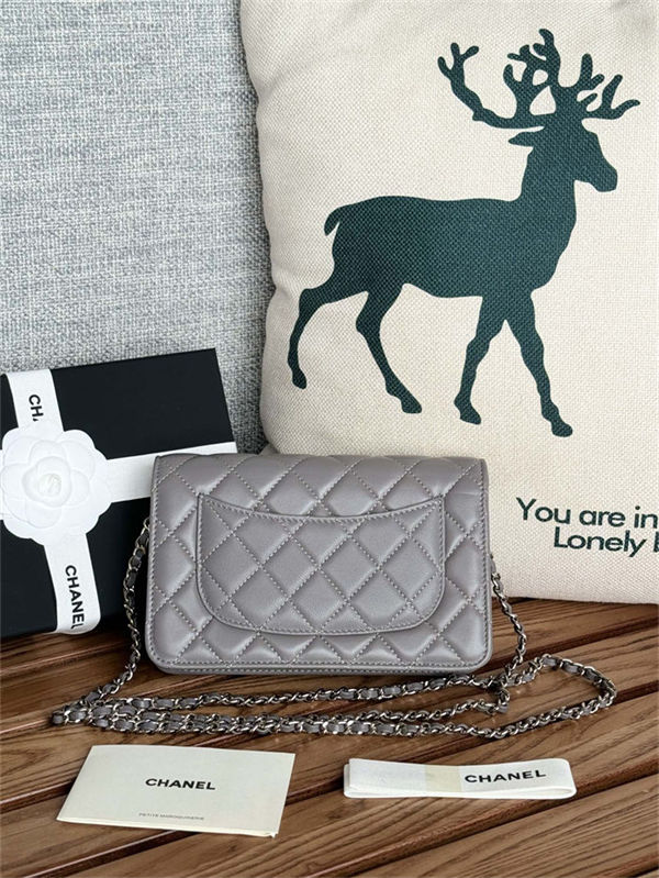 Chanel Classic WOC Lambskin LB13228 (2)