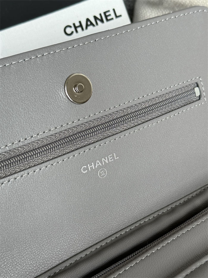 Chanel Classic WOC Lambskin LB13228 (3)