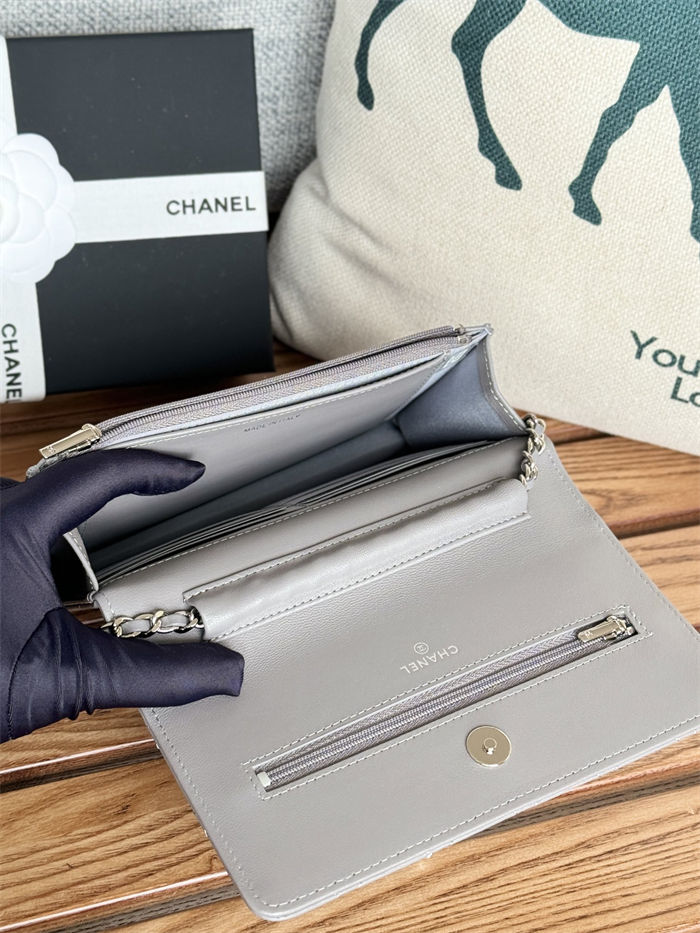 Chanel Classic WOC Lambskin LB13228 (5)