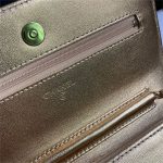 Chanel Classic WOC Lambskin LB15239 (3)