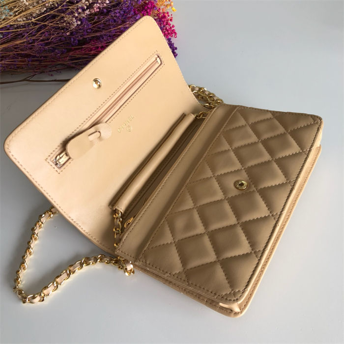 Chanel Classic WOC Lambskin LB6724 (3)