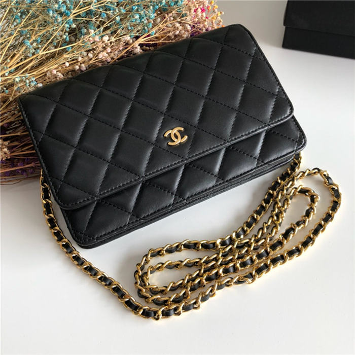 Chanel Classic WOC Lambskin LB6728 (1)