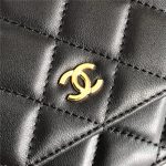 Chanel Classic WOC Lambskin LB6728 (3)