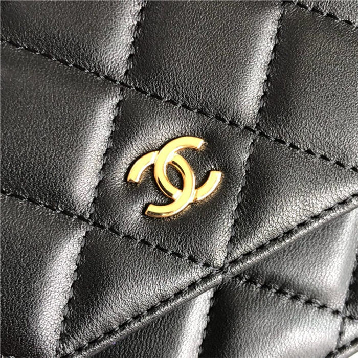 Chanel Classic WOC Lambskin LB6728 (3)