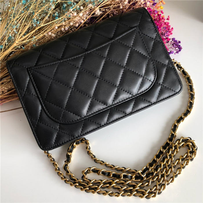Chanel Classic WOC Lambskin LB6728 (5)