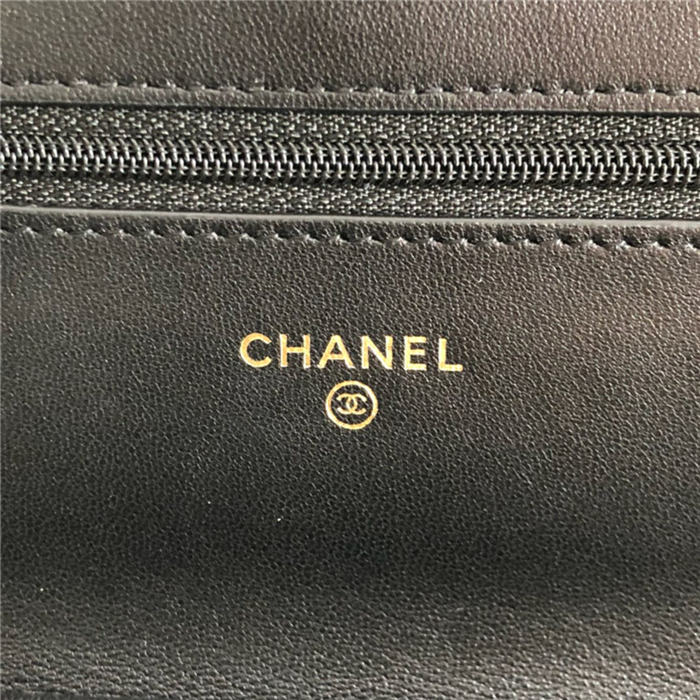 Chanel Classic WOC Lambskin LB6728 (6)