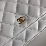 Chanel Classic WOC Lambskin LB6736 (3)