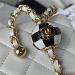 Chanel FLAP BAG Lambskin LB11119 (2)