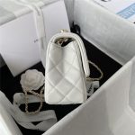 Chanel FLAP BAG Lambskin LB11119 (3)