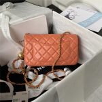 Chanel FLAP BAG Lambskin LB12511 (2)