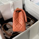 Chanel FLAP BAG Lambskin LB12511 (5)