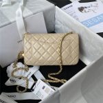 Chanel FLAP BAG Lambskin LB1696 (2)