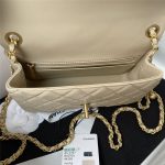 Chanel FLAP BAG Lambskin LB1696 (5)