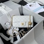 Chanel FLAP BAG Lambskin LB3644 (1)