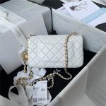 Chanel FLAP BAG Lambskin LB3644 (2)