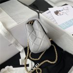 Chanel FLAP BAG Lambskin LB3645 (4)