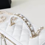 Chanel LONG VANITY Lambskin LB16515 (4)