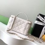 Chanel LONG VANITY Lambskin LB16517 (3)