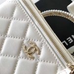 Chanel LONG VANITY Lambskin LB16517 (4)