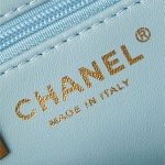 Chanel MINI SHOPPINGBAG Shiny Aged Calfskin LB14216 (6)