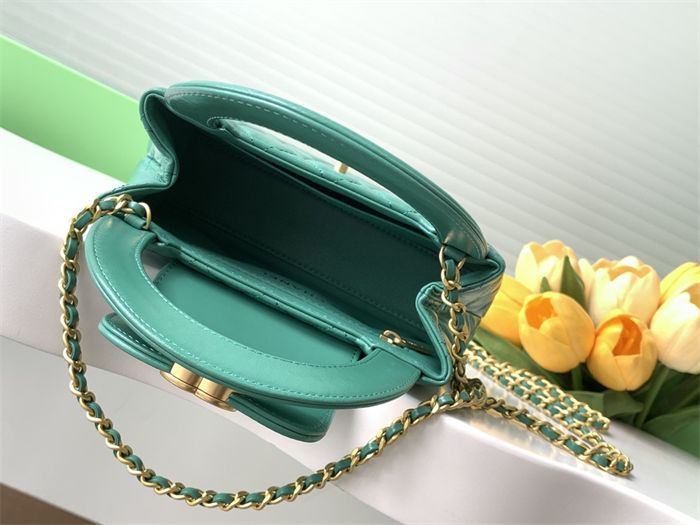 Chanel MINI SHOPPINGBAG Shiny Aged Calfskin LB14271 (3)