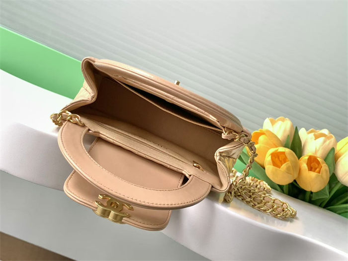 Chanel MINI SHOPPINGBAG Shiny Aged Calfskin LB14373 (3)